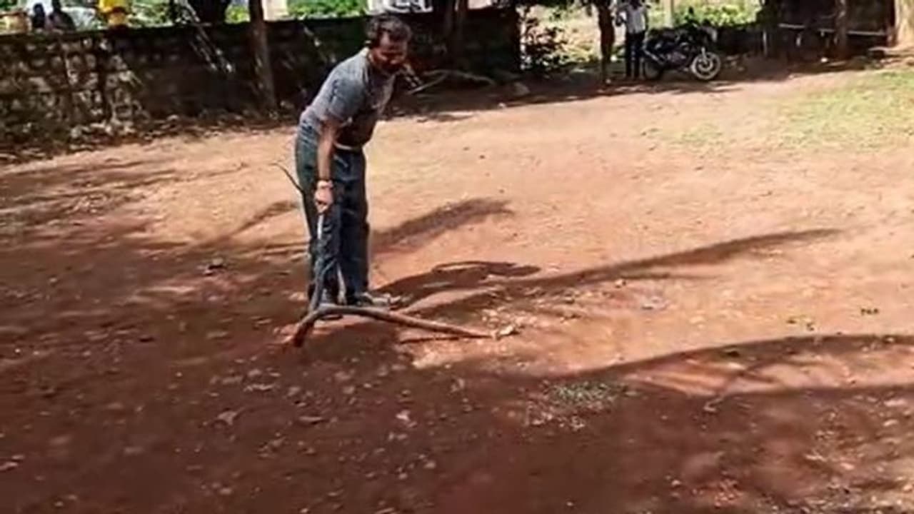 4 ಬಾರಿ ಹಾವು ಕಚ್ಚಿದ್ರೂ "ಐಯಾಮ್‌ ಸ್ಟೆಡಿ" ಎಂದು ಗಟ್ಟಿ ನಿಂತ ವ್ಯಕ್ತಿ; ಕುಡುಕರ ಶಕ್ತಿ ಅಂದ್ರೆ ಏನಂದುಕೊಂಡ್ರಿ!