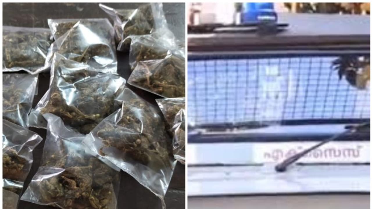 റേഷനരി ചാക്കില് ലഹരിമരുന്ന് കടത്ത്; പ്രതിയുടെ വീട്ടിലെ റെയ്ഡില് കണ്ടത് തോക്കും, ബോംബും റേഷനരി ചാക്കില് ലഹരിമരുന്ന് കടത്ത്; പ്രതിയുടെ വീട്ടിലെ റെയ്ഡില് കണ്ടത് തോക്കും, ബോംബും