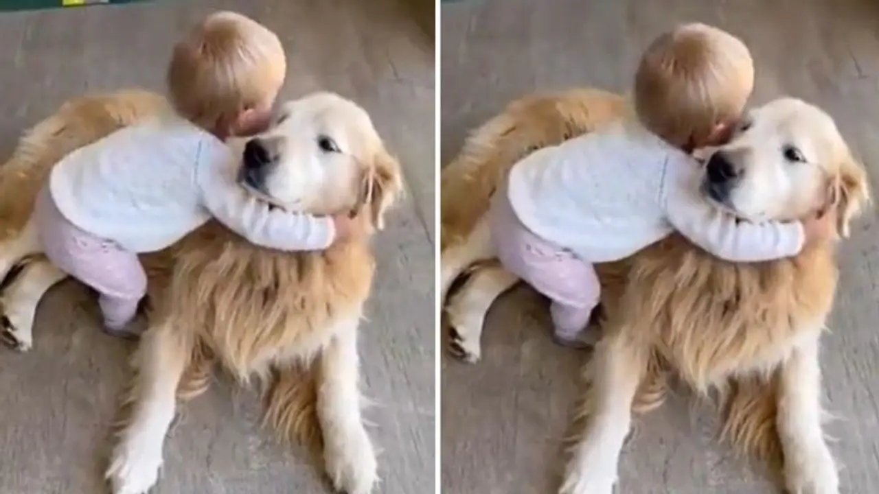 'മനസ് നിറയ്ക്കുന്ന രംഗം'; മണിക്കൂറുകള്‍ക്കുള്ളിൽ ലക്ഷക്കണക്കിന് പേ‍‍ര്‍ കണ്ട വീഡിയോ...