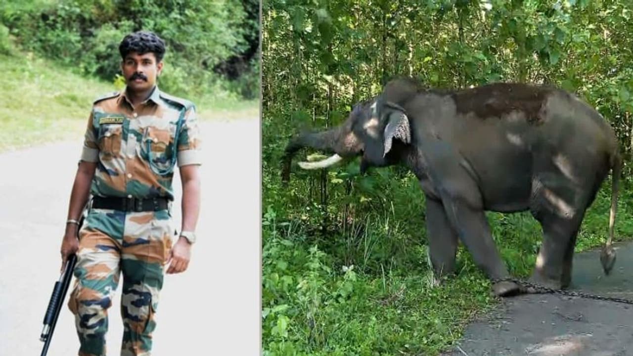 തൃശ്ശൂർ പാലപ്പിള്ളിയിലെ കാട്ടാന ആക്രമണം; ആനകളെ തുരത്തുന്നതിനിടെ പരിക്കേറ്റ ആർആർടി അംഗം മരിച്ചു തൃശ്ശൂർ പാലപ്പിള്ളിയിലെ കാട്ടാന ആക്രമണം; ആനകളെ തുരത്തുന്നതിനിടെ പരിക്കേറ്റ ആർആർടി അംഗം മരിച്ചു