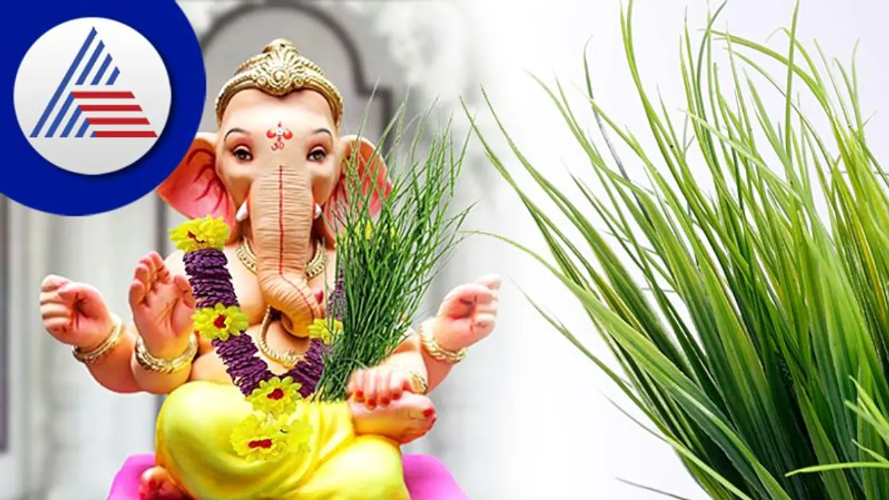 விநாயகரின் இந்த 1 மந்திரம் போதும்.. குறைவில்லா செல்வம் முதல் எவ்வளவு பலன்கள் உண்டு தெரியுமா? விநாயகரின் இந்த 1 மந்திரம் போதும்.. குறைவில்லா செல்வம் முதல் எவ்வளவு பலன்கள் உண்டு தெரியுமா?