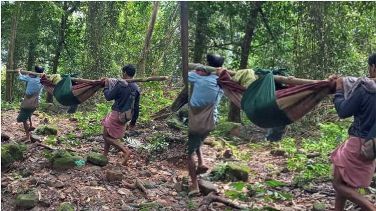 ഇടമലക്കുടിയില് ആദിവാസി യുവതിയെ ആശുപത്രിയിലെത്തിച്ചത് മരക്കൊമ്പില് തുണികെട്ടി 10 കിലോമീറ്റ് ചുമന്ന് ഇടമലക്കുടിയില് ആദിവാസി യുവതിയെ ആശുപത്രിയിലെത്തിച്ചത് മരക്കൊമ്പില് തുണികെട്ടി 10 കിലോമീറ്റ് ചുമന്ന്
