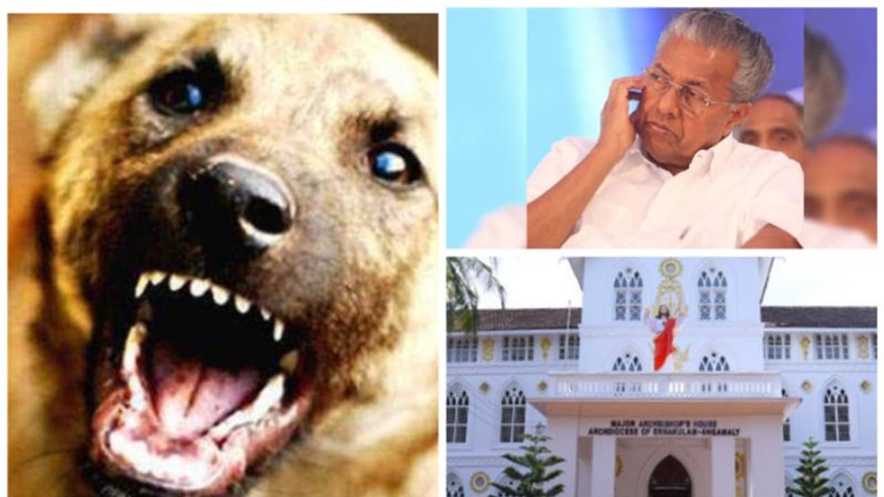 కేర‌ళ వాసుల‌ను హ‌డ‌లెత్తిస్తున్న వీధి కుక్క‌లు.. వ‌రుస దాడుల‌తో ఆందోళ‌న‌