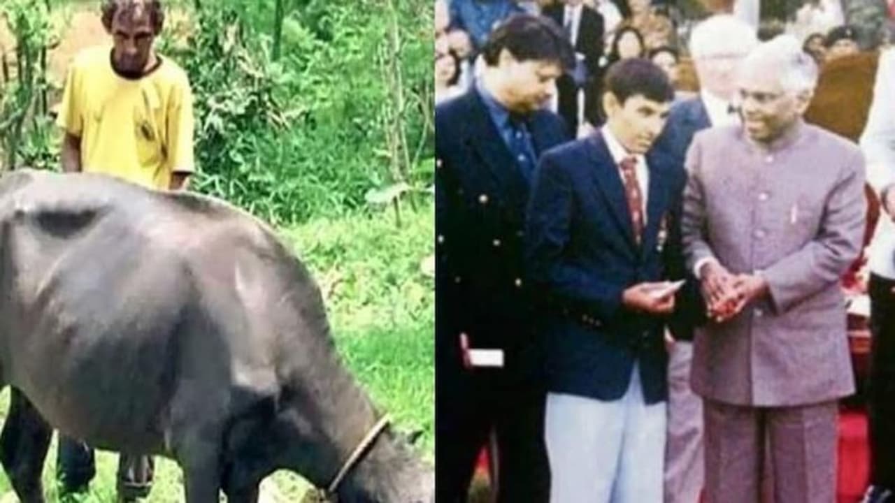 Team India: ದೇಶದ ಪರವಾಗಿ ಆಡಿದ್ದ ಕ್ರಿಕೆಟಿಗ ಇಂದು ಹಣಕ್ಕಾಗಿ ಎಮ್ಮೆ ಸಾಕ್ತಿದ್ದಾರೆ! Team India: ದೇಶದ ಪರವಾಗಿ ಆಡಿದ್ದ ಕ್ರಿಕೆಟಿಗ ಇಂದು ಹಣಕ್ಕಾಗಿ ಎಮ್ಮೆ ಸಾಕ್ತಿದ್ದಾರೆ!