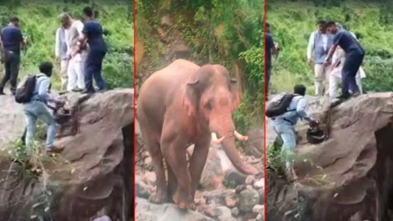 ಹೆದ್ದಾರಿಯಲ್ಲಿ ಅಟ್ಟಾಡಿಸಿದ ಗಜರಾಜ, ಬೆಟ್ಟಹತ್ತಿ ಕುಳಿತ ಮಾಜಿ ಸಿಎಂ, ವಿಡಿಯೋ ವೈರಲ್! ಹೆದ್ದಾರಿಯಲ್ಲಿ ಅಟ್ಟಾಡಿಸಿದ ಗಜರಾಜ, ಬೆಟ್ಟಹತ್ತಿ ಕುಳಿತ ಮಾಜಿ ಸಿಎಂ, ವಿಡಿಯೋ ವೈರಲ್!