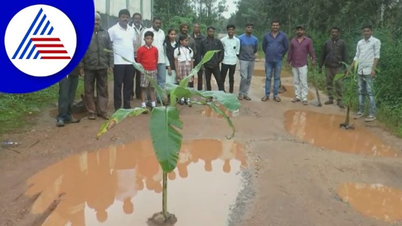 Chikkamagaluru; ಅಧಿಕಾರಿಗಳ ನಿರ್ಲಕ್ಷ ಖಂಡಿಸಿ ನಡು ರಸ್ತೆಯಲ್ಲಿ ಬಾಳೆ ಗಿಡ ನೆಟ್ಟು ಪ್ರತಿಭಟನೆ