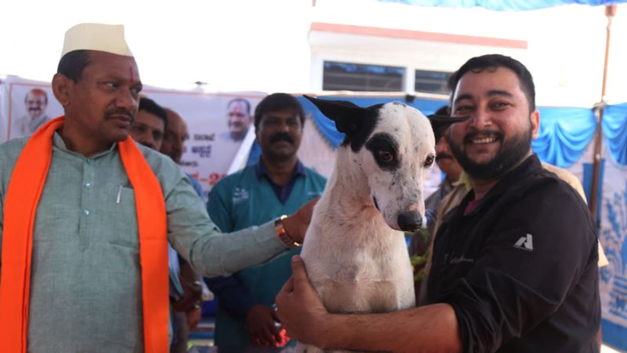 Rabies: ಉಚಿತ ರೇಬಿಸ್ ಲಸಿಕೆ ಅಭಿಯಾನ: ಸಚಿವ ಚವ್ಹಾಣ್ Rabies: ಉಚಿತ ರೇಬಿಸ್ ಲಸಿಕೆ ಅಭಿಯಾನ: ಸಚಿವ ಚವ್ಹಾಣ್