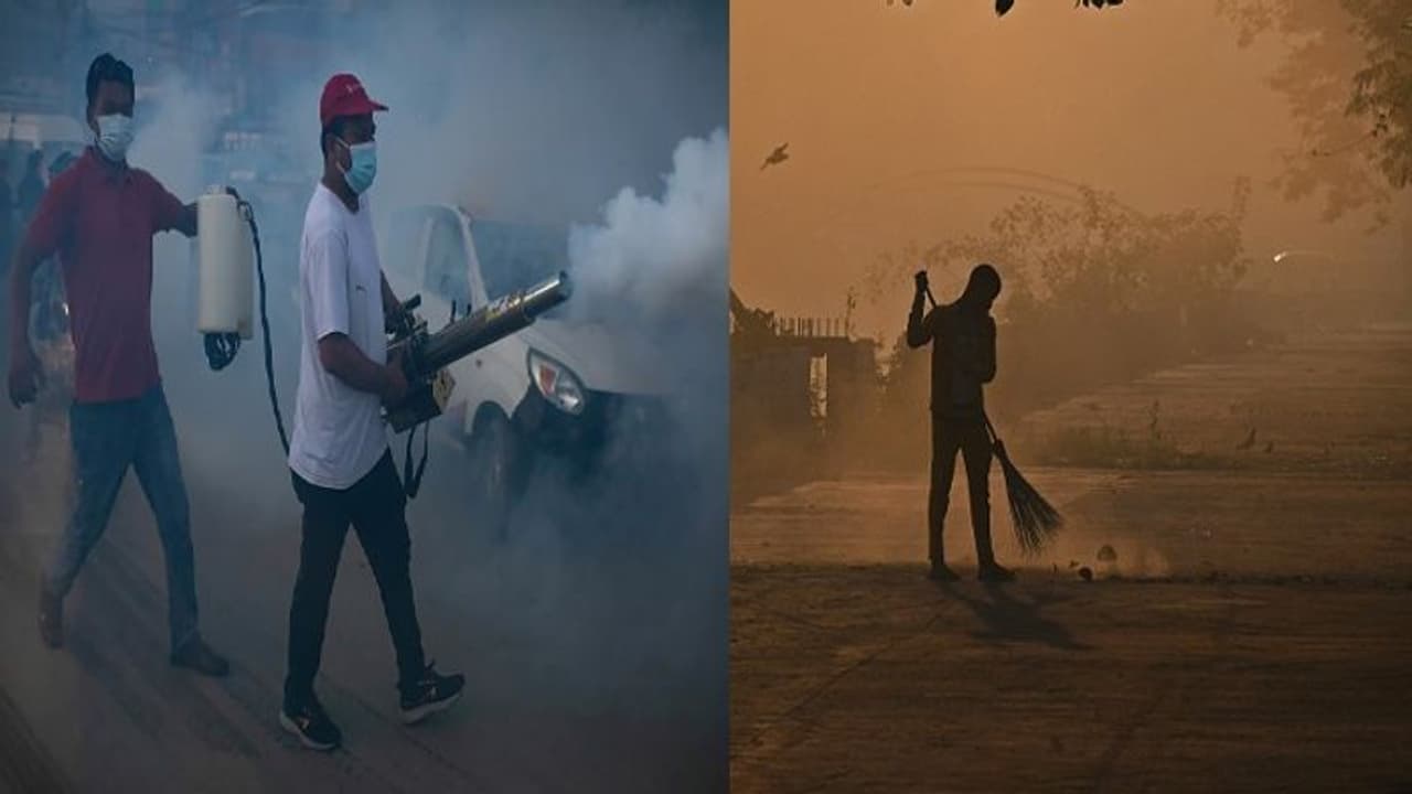 হাওড়া শহরে ডেঙ্গি বড় বালাই, স্বাস্থ্য ও সাফাই বিভাগের সমস্ত কর্মীদের দুর্গাপুজোর ছুটি বাতিল হাওড়া শহরে ডেঙ্গি বড় বালাই, স্বাস্থ্য ও সাফাই বিভাগের সমস্ত কর্মীদের দুর্গাপুজোর ছুটি বাতিল