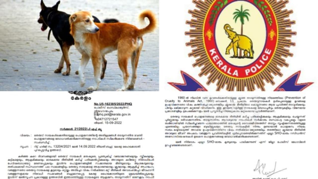 'തെരുവുനായകളെ കൊല്ലുന്നത് തടവുംപിഴയും ലഭിക്കാവുന്നകുറ്റം,കൂട്ടത്തോടെ കൊല്ലാതിരിക്കാൻ ബോധവത്കരണം നടത്തണം' 'തെരുവുനായകളെ കൊല്ലുന്നത് തടവുംപിഴയും ലഭിക്കാവുന്നകുറ്റം,കൂട്ടത്തോടെ കൊല്ലാതിരിക്കാൻ ബോധവത്കരണം നടത്തണം'