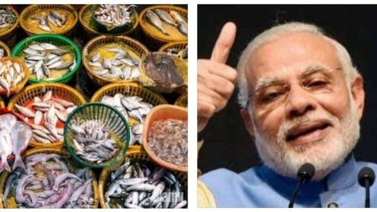 ஸ்டாலின் தொகுதியில் மாஸ் காட்டும் பாஜக..! மோடி பிறந்தநாளில் 720 கிலோ மீன், தங்க மோதிரம்..! எல்.முருகன் அதிரடி ஸ்டாலின் தொகுதியில் மாஸ் காட்டும் பாஜக..! மோடி பிறந்தநாளில் 720 கிலோ மீன், தங்க மோதிரம்..! எல்.முருகன் அதிரடி