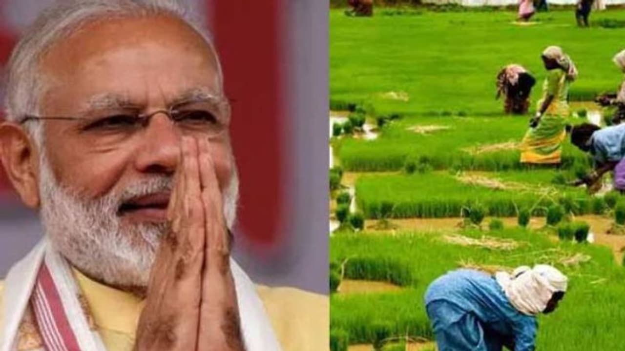 ರೈತರಿಗೆ ಬೆಂಬಲ ಬೆಲೆ ಬಂಪರ್; ಎಂಎಸ್‌ಪಿ ದರ ಏರಿಕೆಗೆ ಮೋದಿ ಸರ್ಕಾರ ನಿರ್ಧಾರ