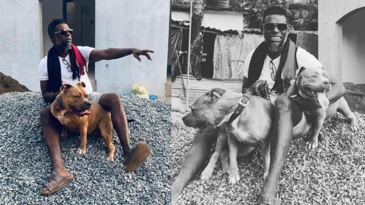 പിറ്റ്ബുള്ളിനൊപ്പമുള്ള ചിത്രം പങ്കുവച്ച് വിനായകൻ; പോസ്റ്റിന് താഴെ കമന്റ് പൂരം പിറ്റ്ബുള്ളിനൊപ്പമുള്ള ചിത്രം പങ്കുവച്ച് വിനായകൻ; പോസ്റ്റിന് താഴെ കമന്റ് പൂരം