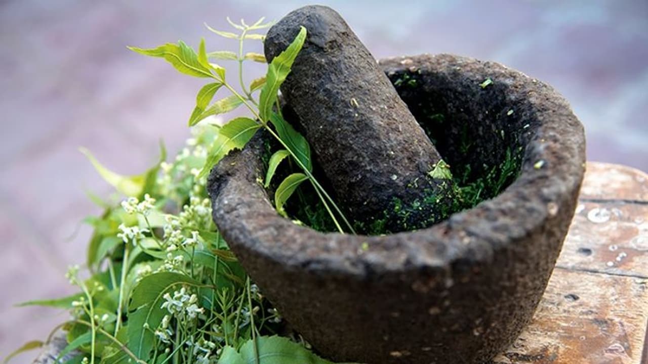 4 herbs that help you to manage PCOS symptoms naturally 