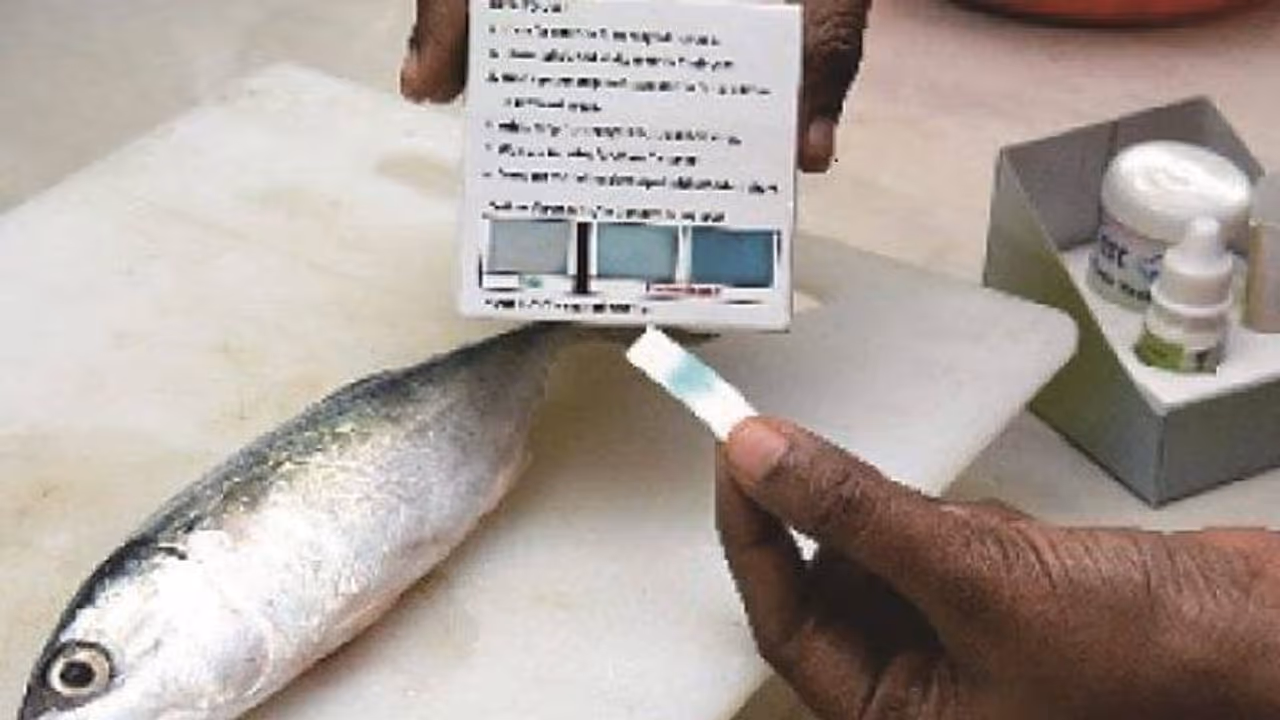 பார்மலின் ரசாயனம் பூசப்பட்ட மீன்களை அடையாளம் காண்பது எப்படி? இதோ எளிய வழிமுறைகள்..!! பார்மலின் ரசாயனம் பூசப்பட்ட மீன்களை அடையாளம் காண்பது எப்படி? இதோ எளிய வழிமுறைகள்..!!