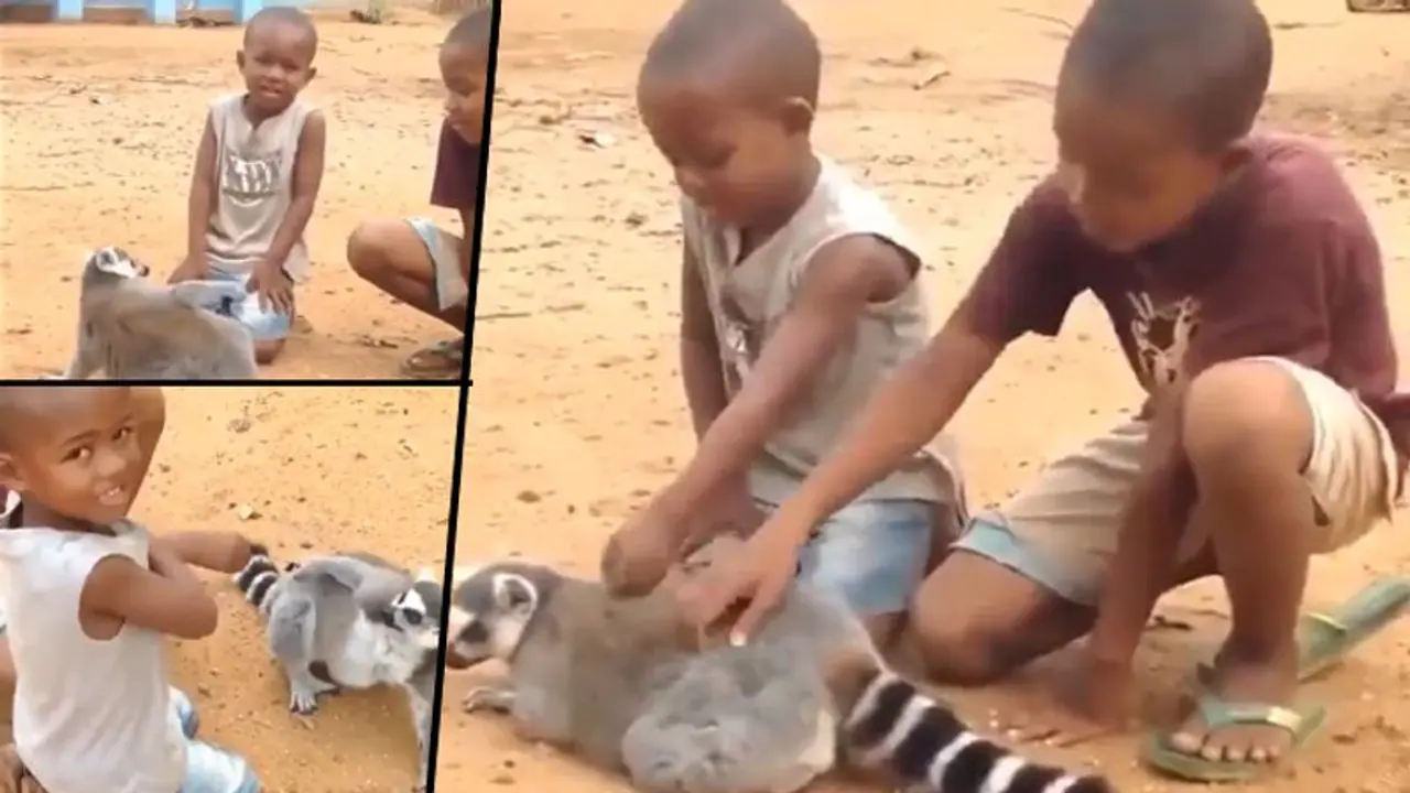 Lemur requests two boys to scratch its back; Anand Mahindra shared viral video 