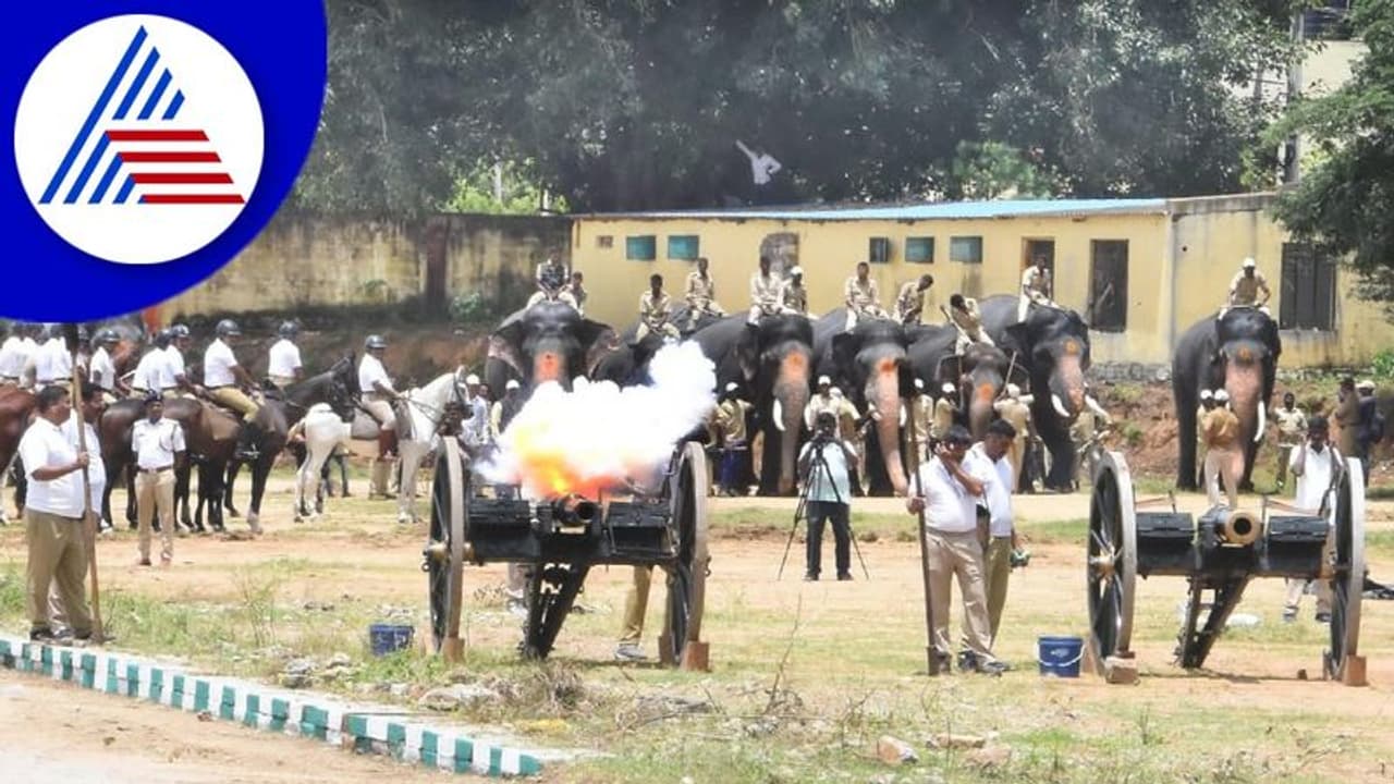 Mysuru Dasara 2022: ಕುಶಾಲತೋಪು ಶಬ್ದಕ್ಕೆ ಹೊಂದಿಕೊಳ್ಳುತ್ತಿರುವ ಗಜಪಡೆ