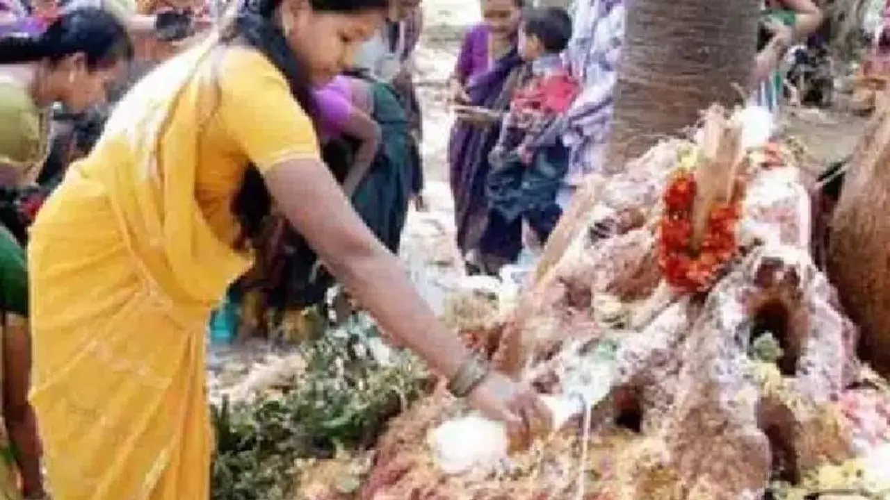 பாம்பு புற்றில் பால் ஊற்றுவது ஏன் என்ன காரணம்? பாம்பு புற்றில் பால் ஊற்றுவது ஏன் என்ன காரணம்?