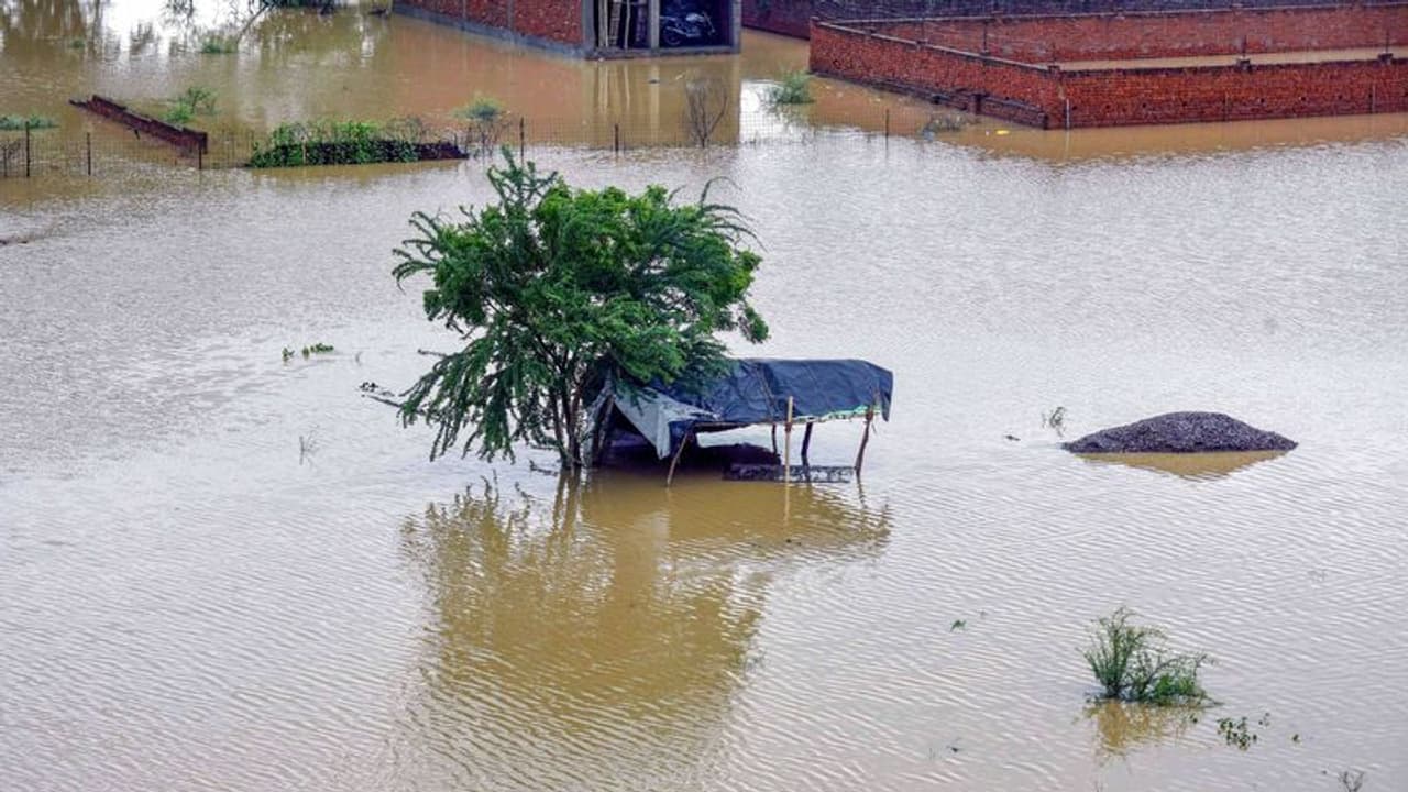 Monsoon Update: यूपी, बिहार, पश्चिम बंगाल, गुजरात आदि में भारी बारिश का अलर्ट, जानिए बाकी राज्यों का हाल Monsoon Update: यूपी, बिहार, पश्चिम बंगाल, गुजरात आदि में भारी बारिश का अलर्ट, जानिए बाकी राज्यों का हाल