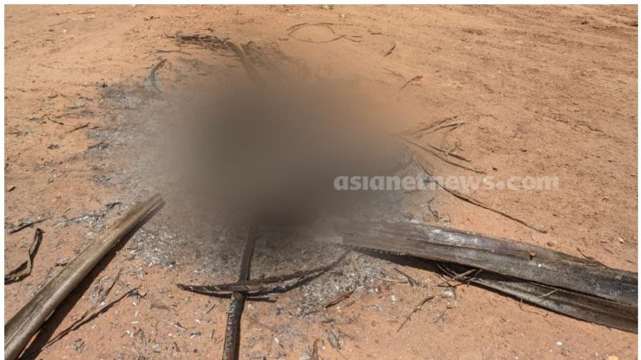 കൊല്ലത്ത് തെരുവ് നായയെ കത്തിക്കരിഞ്ഞ നിലയിൽ കണ്ടെത്തി; ചുട്ടുകൊന്നതെന്ന് സംശയം കൊല്ലത്ത് തെരുവ് നായയെ കത്തിക്കരിഞ്ഞ നിലയിൽ കണ്ടെത്തി; ചുട്ടുകൊന്നതെന്ന് സംശയം