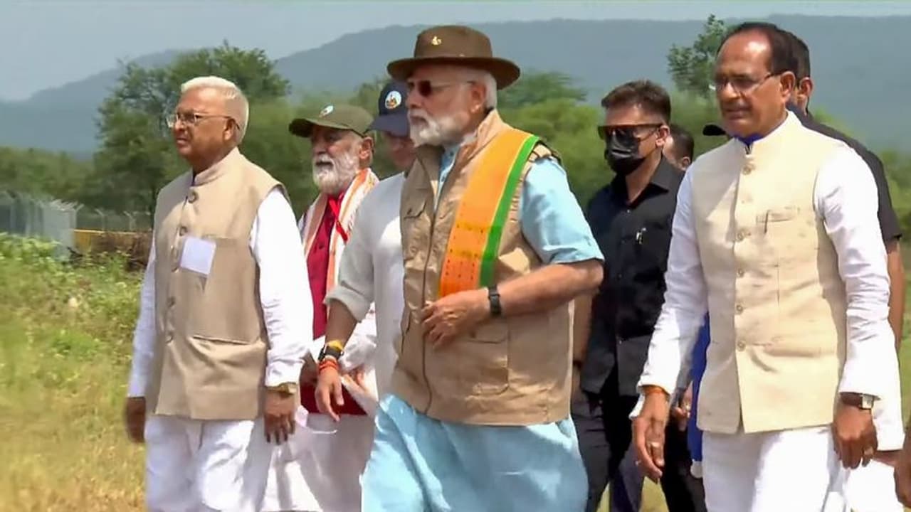 Cheetah: pm modi birthday: பொருளாதாரமும், சூழியலும் முரண்பட்ட துறைகள் அல்ல: பிரதமர் மோடி