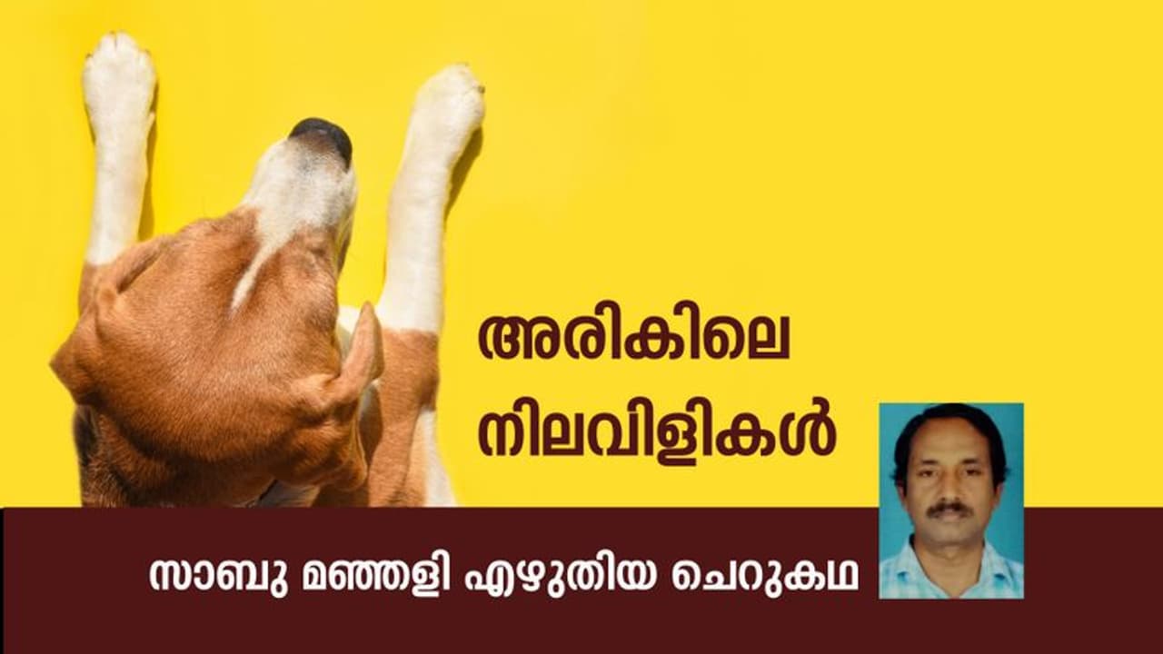 Malayalam Short Story : അരികിലെ നിലവിളികള്, സാബു മഞ്ഞളി എഴുതിയ ചെറുകഥ Malayalam Short Story : അരികിലെ നിലവിളികള്, സാബു മഞ്ഞളി എഴുതിയ ചെറുകഥ