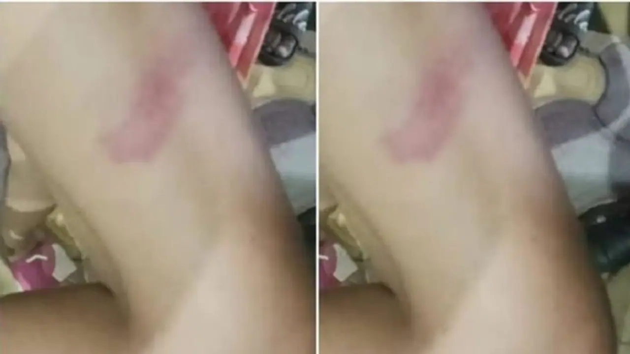 मुजफ्फरनगर: शिक्षिका के पति ने स्कूल में पढ़ रहे बच्चों को बेरहमी से पीटा, नाराज ग्रामीणों ने किया जमकर हंगामा मुजफ्फरनगर: शिक्षिका के पति ने स्कूल में पढ़ रहे बच्चों को बेरहमी से पीटा, नाराज ग्रामीणों ने किया जमकर हंगामा