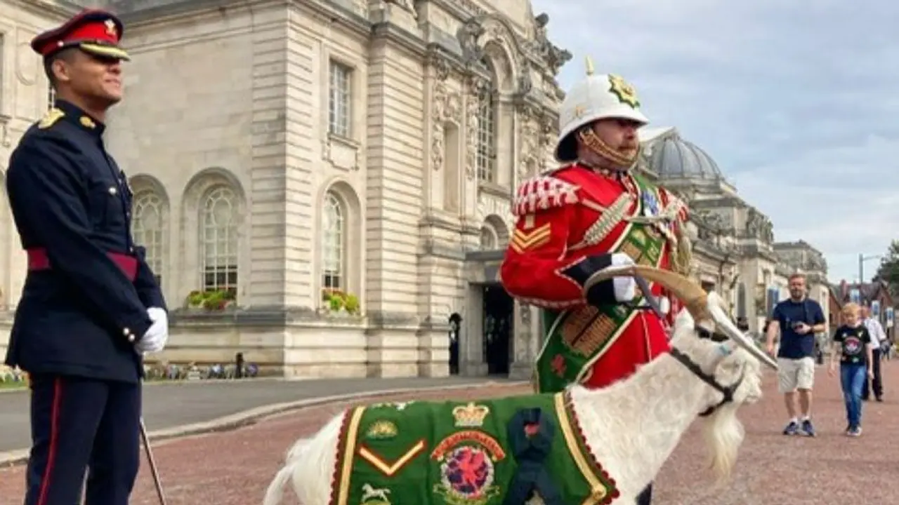 किंग चार्ल्स की ताजपोशी में शामिल इस बकरी की लग्जरी लाइफ किसी रॉयल्स से कम नहीं, ये सिगरेट भी पीती हैं