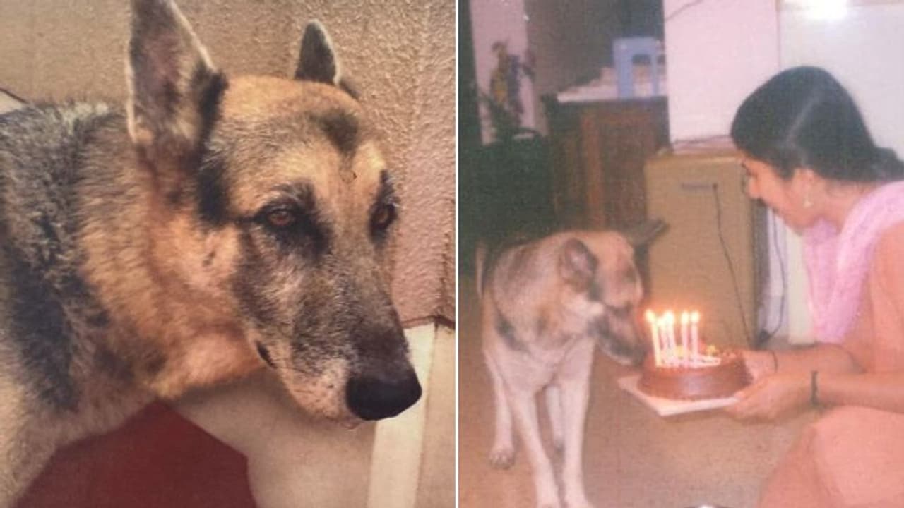 ഹൃദയം ഒന്ന് വിങ്ങാം, കണ്ണുകൾ നിറയാം ; കാരണം ഇതങ്ങനെയൊരു കഥയാണ്... 