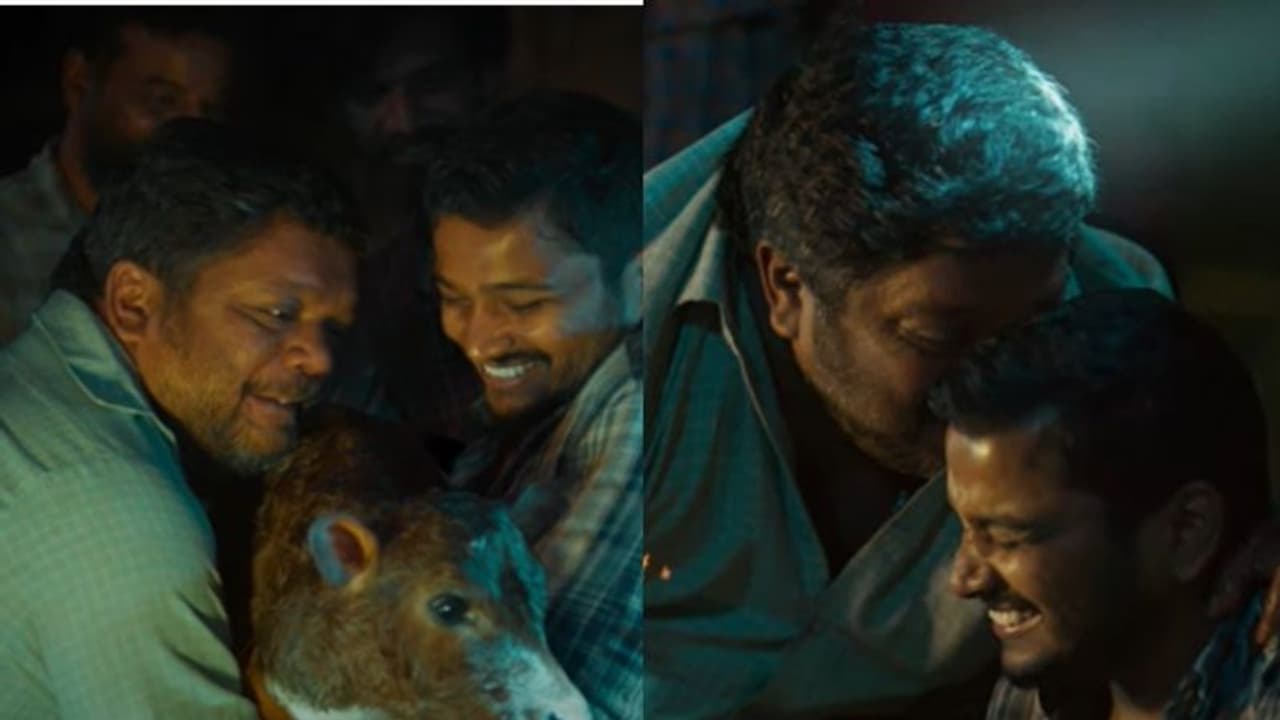 ഒരു പശുകിടാവിന്റെ ജനനവും ആഘോഷവും; 'പാൽതു ജാൻവറി'ലെ 'പിഞ്ചു പൈതൽ..' എത്തി