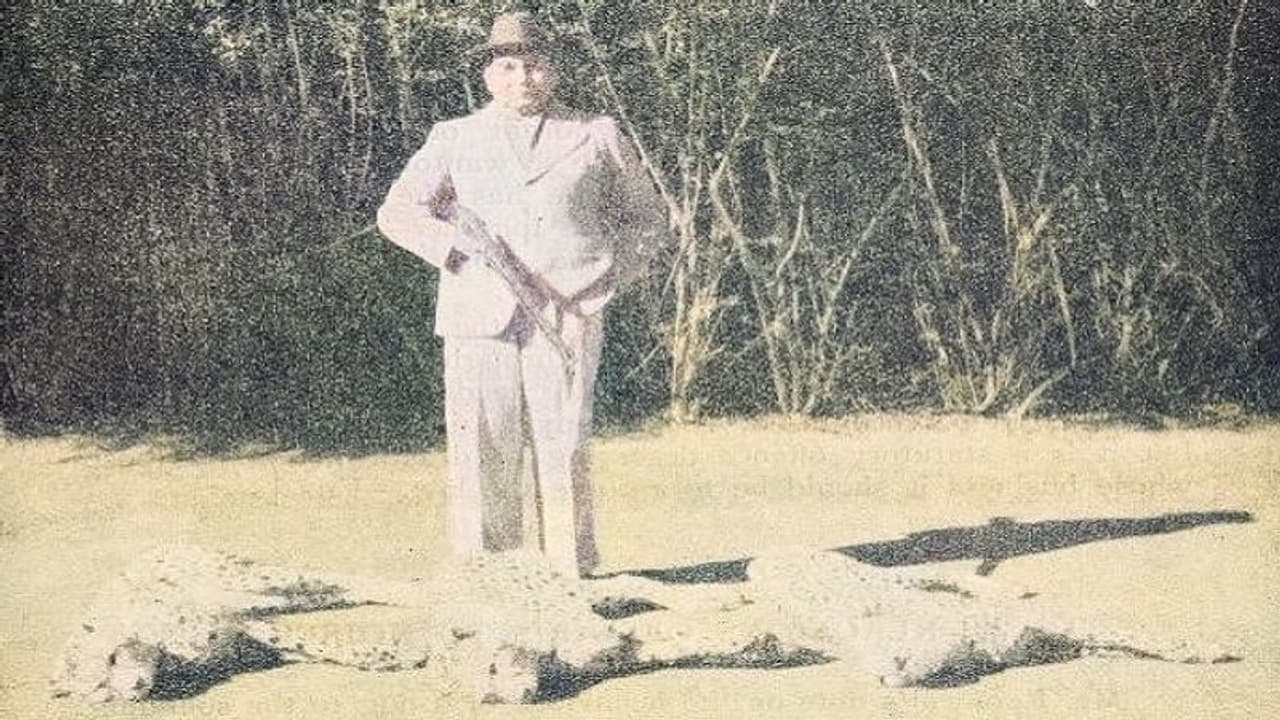 भारत के आखिरी चीतों का शिकार करने वाले राजा की पोती बोलीं मस्ती के लिए कभी नहीं मारा भारत के आखिरी चीतों का शिकार करने वाले राजा की पोती बोलीं मस्ती के लिए कभी नहीं मारा