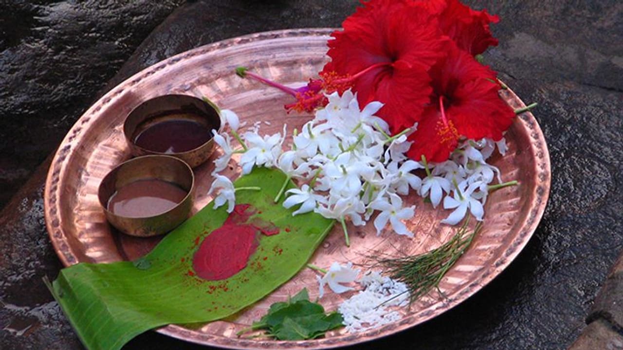 Jivitputrika Vrat 2022: संतान की लंबी उम्र के लिए करते हैं जीवित्पुत्रिका व्रत, ये है पूजा विधि और महत्व Jivitputrika Vrat 2022: संतान की लंबी उम्र के लिए करते हैं जीवित्पुत्रिका व्रत, ये है पूजा विधि और महत्व