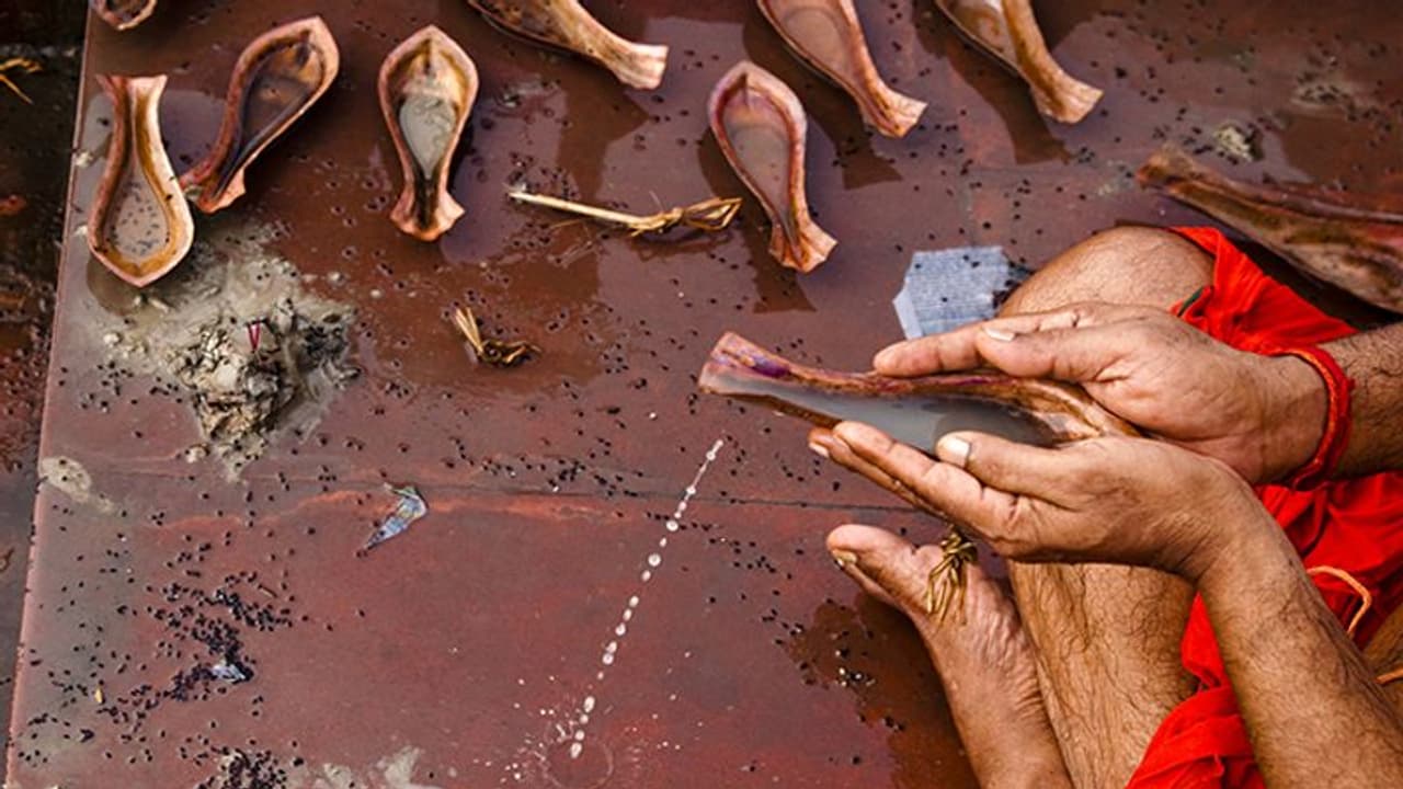 मातृ नवमी श्राद्ध 19 सितंबर को: जानें क्यों खास है ये तिथि? ये 5 उपाय करने से दूर होंगी परेशानियां 