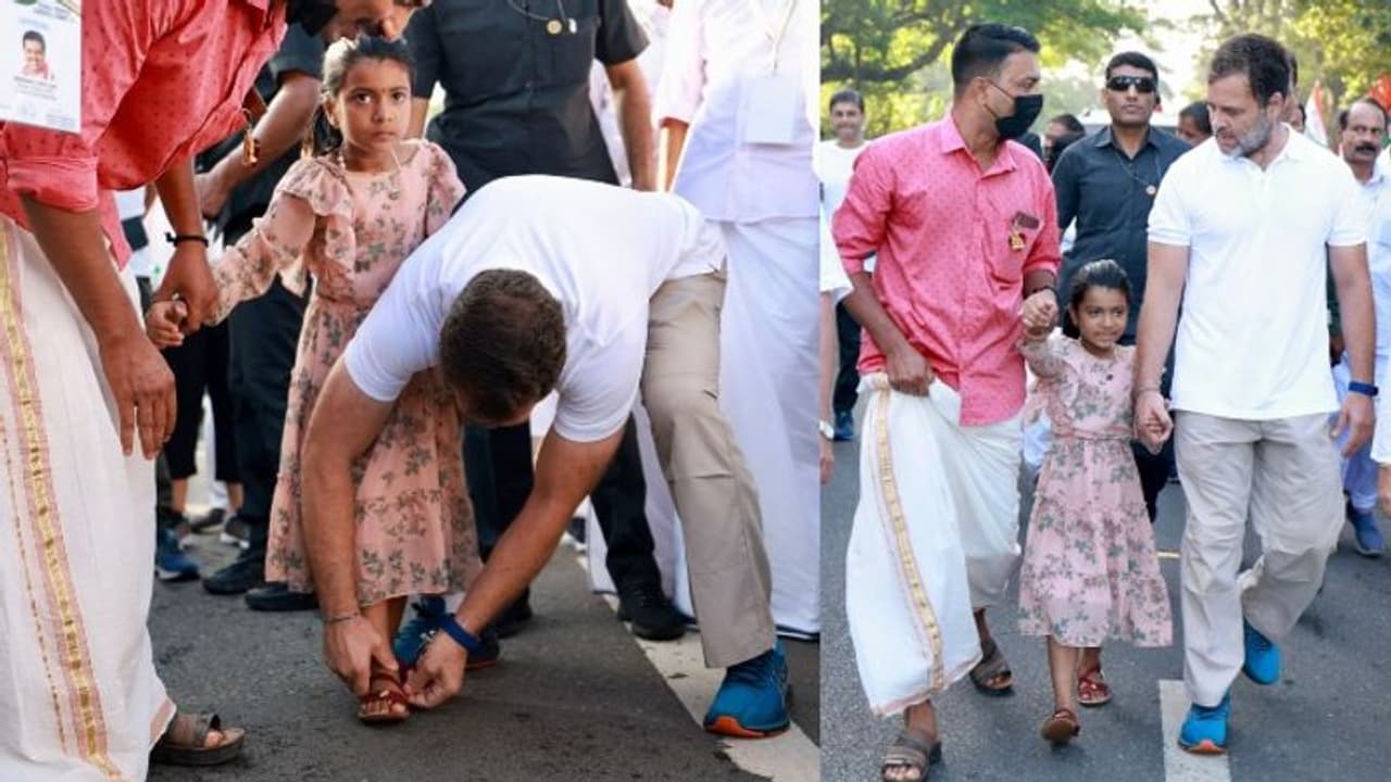 ভারত জোড়ো যাত্রার ভাইরাল ভিডিও, নেটিজেনদের কথায় মন ভাল করে দিলেন রাহুল গান্ধী 