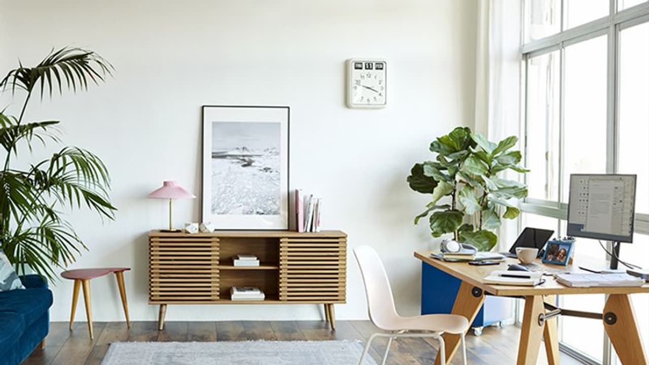 Vastu Tips For Money: सुख शांति और धन लाभ के लिए घर में लगाएं इस सुंदर पक्षी की तस्वीर