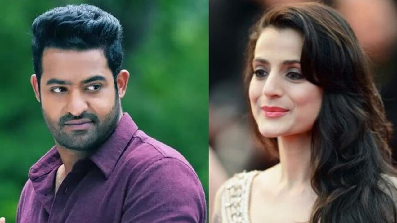 అప్పట్లో సూపర్ స్టార్ ఇప్పుడు పాన్ ఇండియా స్టార్... ఎన్టీఆర్ పై బాలీవుడ్ బ్యూటీ ప్రశంసలు! అప్పట్లో సూపర్ స్టార్ ఇప్పుడు పాన్ ఇండియా స్టార్... ఎన్టీఆర్ పై బాలీవుడ్ బ్యూటీ ప్రశంసలు!