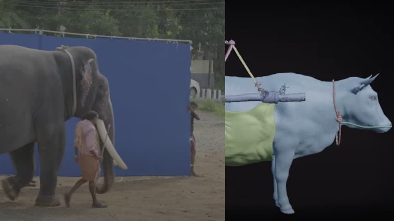 ആ ആന നടന്നത് പ്രസൂണിന് മുന്നിലൂടെയല്ല; 'പാല്തു ജാന്വര്' വിഎഫ്എക്സ് ബ്രേക്ക് ഡൗണ് വീഡിയോ ആ ആന നടന്നത് പ്രസൂണിന് മുന്നിലൂടെയല്ല; 'പാല്തു ജാന്വര്' വിഎഫ്എക്സ് ബ്രേക്ക് ഡൗണ് വീഡിയോ