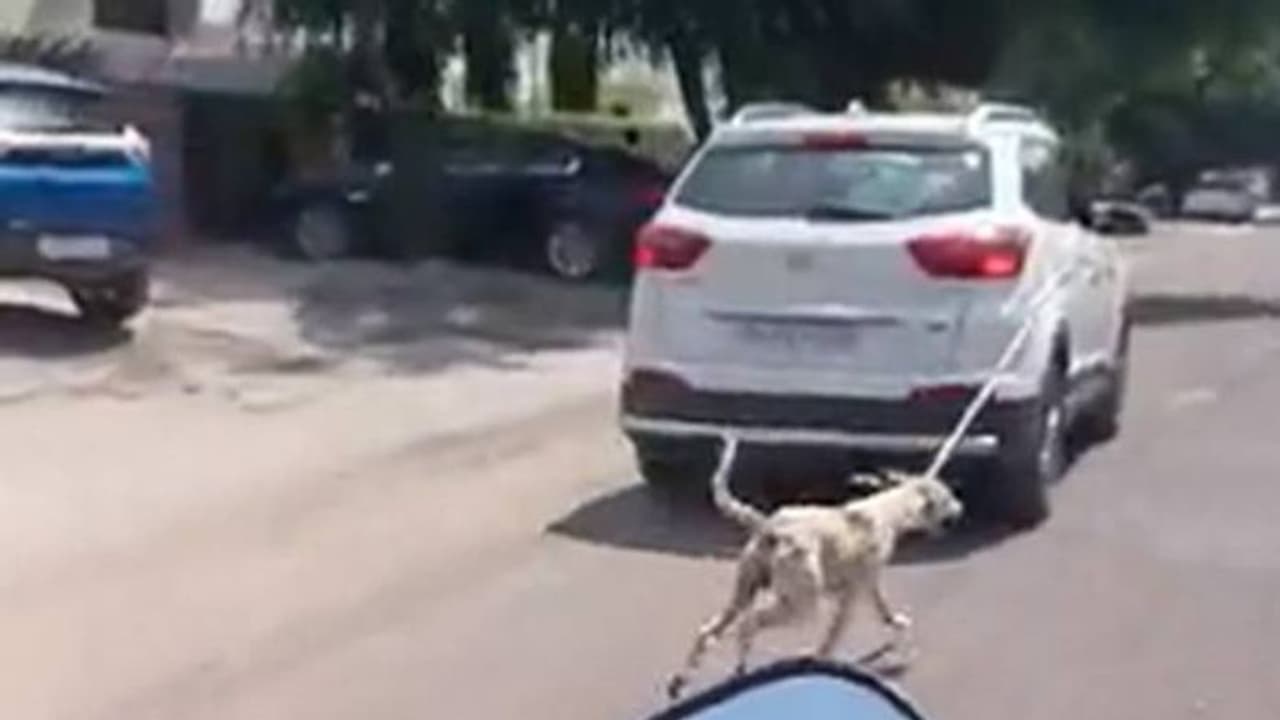 തെരുവ് നായയെ കാറിൽ കെട്ടിവലിച്ച് ഡോക്ടർ, ക്രൂരത തടഞ്ഞ് നാട്ടുകാർ, വീഡിയോ തെരുവ് നായയെ കാറിൽ കെട്ടിവലിച്ച് ഡോക്ടർ, ക്രൂരത തടഞ്ഞ് നാട്ടുകാർ, വീഡിയോ