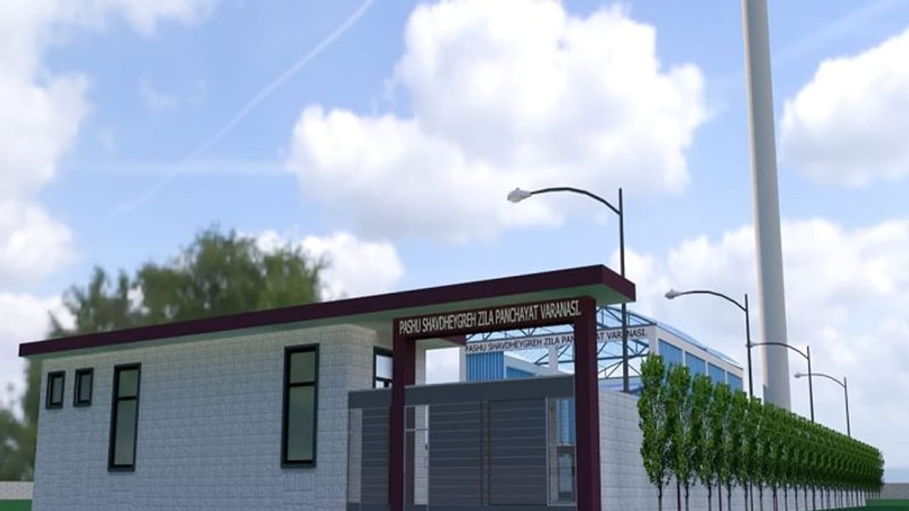 वाराणसी में बन रहा यूपी का पहला पशु शवदाह गृह, राख से बनेगी खाद, जानिए और क्या रहेगा खास वाराणसी में बन रहा यूपी का पहला पशु शवदाह गृह, राख से बनेगी खाद, जानिए और क्या रहेगा खास