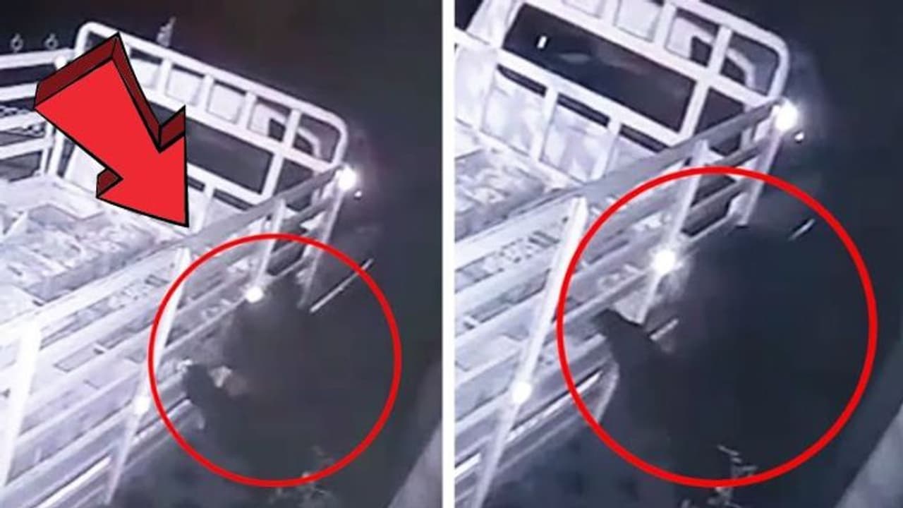 குன்னூர் அருகே குடியிருப்புக்குள் நுழைந்து பால் பாக்கெட்டுகளை குடித்த கரடி.. வெளியான பரபரப்பு CCTV காட்சிகள்! குன்னூர் அருகே குடியிருப்புக்குள் நுழைந்து பால் பாக்கெட்டுகளை குடித்த கரடி.. வெளியான பரபரப்பு CCTV காட்சிகள்!