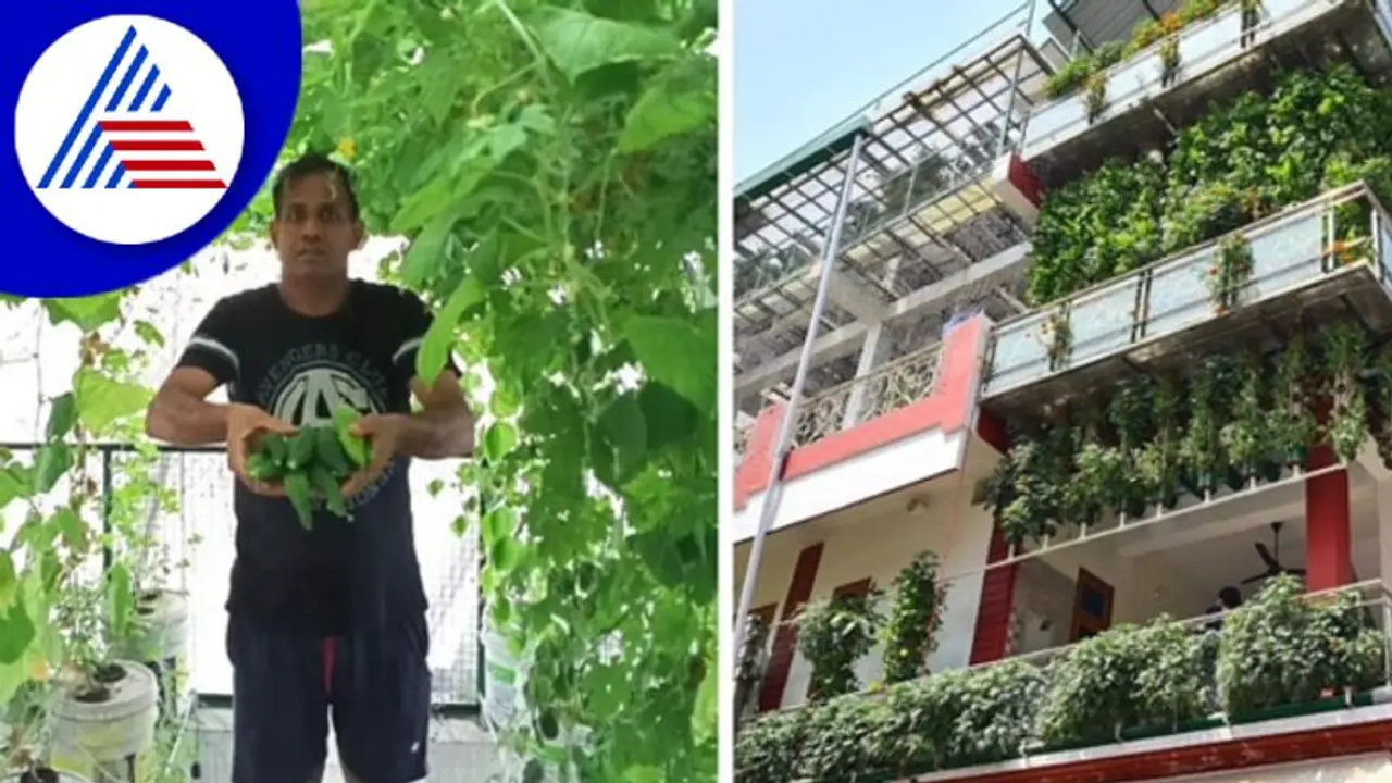 ಮೂರು ಅಂತಸ್ತಿನ ಮನೆಯಲ್ಲಿ ಸಾವಯವ ಕೃಷಿ, ವರ್ಷಕ್ಕೆ ಭರ್ತಿ 70 ಲಕ್ಷ ಆದಾಯ