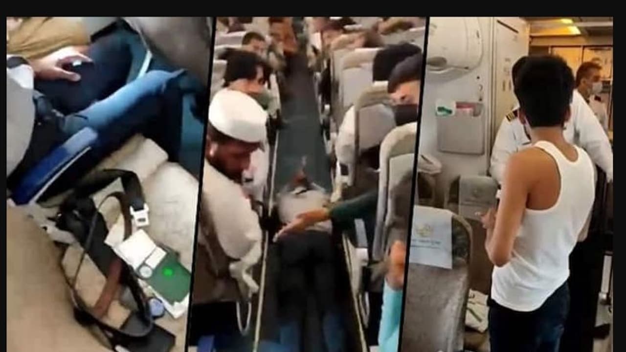 ফ্লাইটের জানলায় লাথি ,যাত্রীকে ব্ল্যাকলিস্ট করলো পাকিস্তান এয়ারলাইন্স 