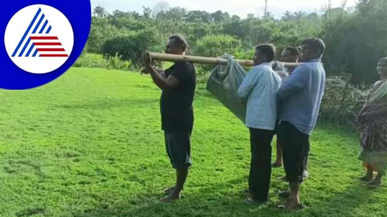 Chikkamagaluru; ವೃದ್ಧೆಯನ್ನ ಜೋಳಿಗೆಯಲ್ಲಿ ಆಸ್ಪತ್ರೆಗೆ ಹೊತ್ತೊಯ್ದ ಸಂಬಂಧಿಕರು! Chikkamagaluru; ವೃದ್ಧೆಯನ್ನ ಜೋಳಿಗೆಯಲ್ಲಿ ಆಸ್ಪತ್ರೆಗೆ ಹೊತ್ತೊಯ್ದ ಸಂಬಂಧಿಕರು!