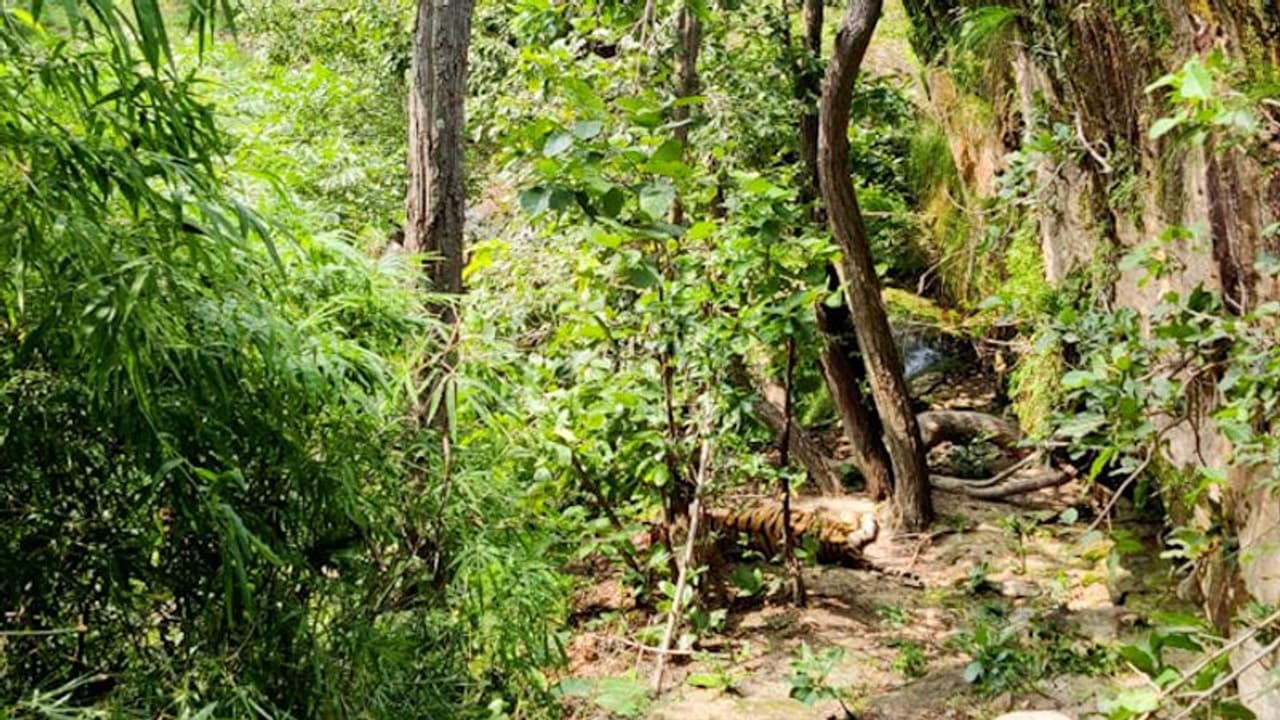 బద్వేల్ అటవీ ప్రాంతంలో తప్పిపోయిన ఐదేళ్ల బాలుడు: సుమన్ ఆచూకీ లభ్యం, పేరేంట్స్ కి అప్పగింత