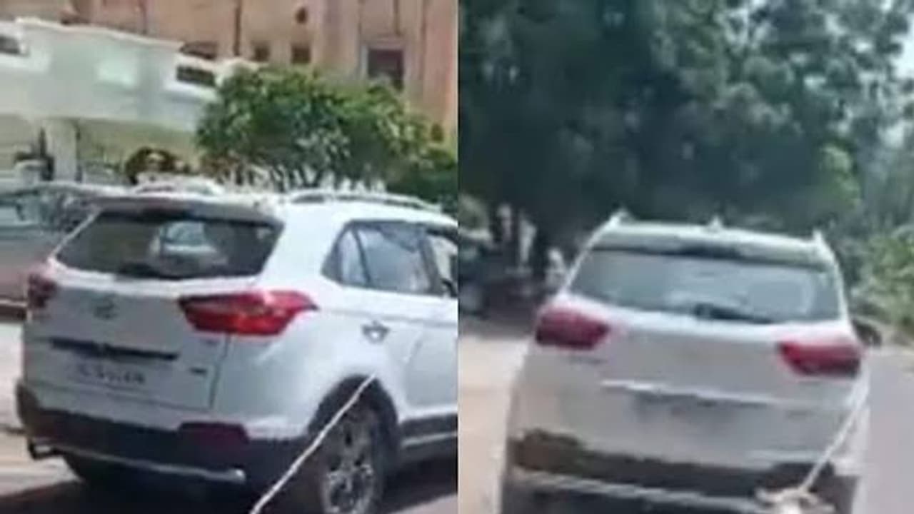 நாயின் கழுத்தில் கயிறு கட்டி , அதை காரில் கட்டி.. வேகமாக ஓட்டிச் சென்று கொடூரம் செய்த டாக்டர் .. நாயின் கழுத்தில் கயிறு கட்டி , அதை காரில் கட்டி.. வேகமாக ஓட்டிச் சென்று கொடூரம் செய்த டாக்டர் ..