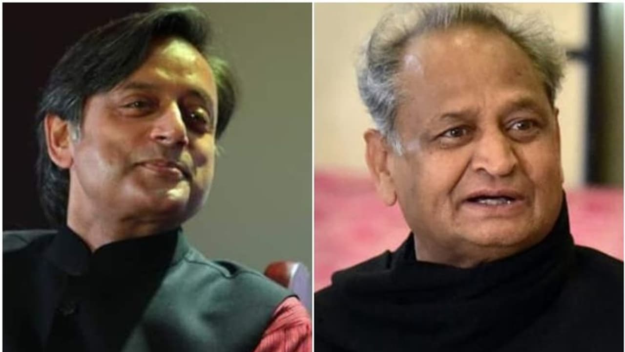 shashi tharoor: congress president: காங்கிரஸ் தலைவர் பதவிக்கு சசி தரூர், அசோக் கெலாட் போட்டி? ராகுல் இல்லையா? shashi tharoor: congress president: காங்கிரஸ் தலைவர் பதவிக்கு சசி தரூர், அசோக் கெலாட் போட்டி? ராகுல் இல்லையா?