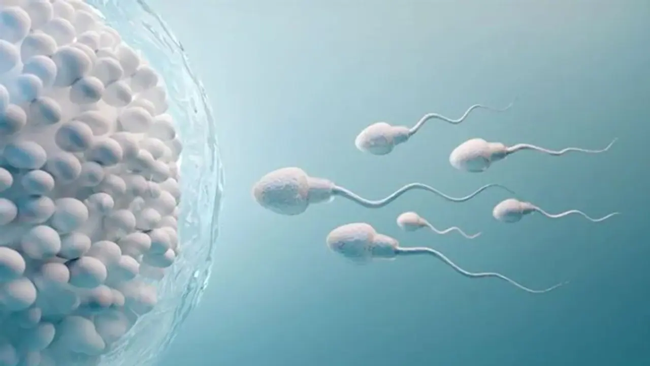 Sperm Count : പുരുഷന്മാരുടെ ബീജത്തിന്റെ എണ്ണത്തെ ബാധിക്കുന്ന അഞ്ച് ശീലങ്ങൾ