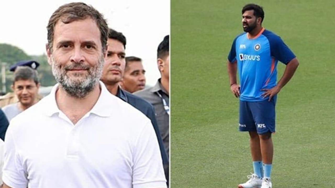 'രാഹുല് ഗാന്ധി' ടി20 ലോകകപ്പില് ഇന്ത്യയുടെ ഓപ്പണറാവും; അവതാരകന് പിണഞ്ഞത് വന് അബദ്ധം വൈറല് വീഡിയോ കാണാം 'രാഹുല് ഗാന്ധി' ടി20 ലോകകപ്പില് ഇന്ത്യയുടെ ഓപ്പണറാവും; അവതാരകന് പിണഞ്ഞത് വന് അബദ്ധം വൈറല് വീഡിയോ കാണാം