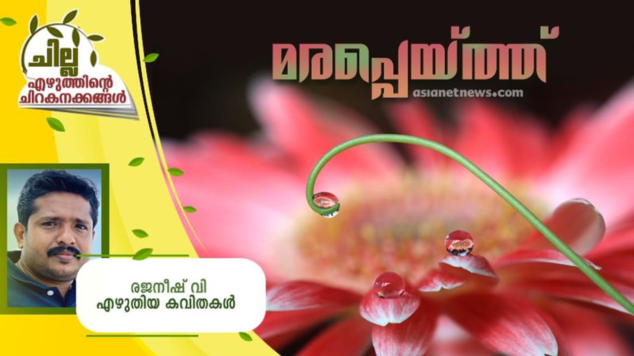 malayalam Poems : മരപ്പെയ്ത്ത് , രജനീഷ് വി എഴുതിയ കവിതകള് malayalam Poems : മരപ്പെയ്ത്ത് , രജനീഷ് വി എഴുതിയ കവിതകള്