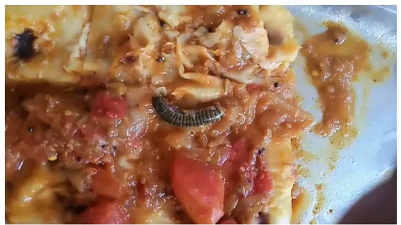 ക്യാന്‍റീന്‍ ഭക്ഷണത്തില്‍ തക്കാളിക്കറിയിൽ ചത്ത അട്ടയുടെ അവശിഷ്ടം, പരാതി