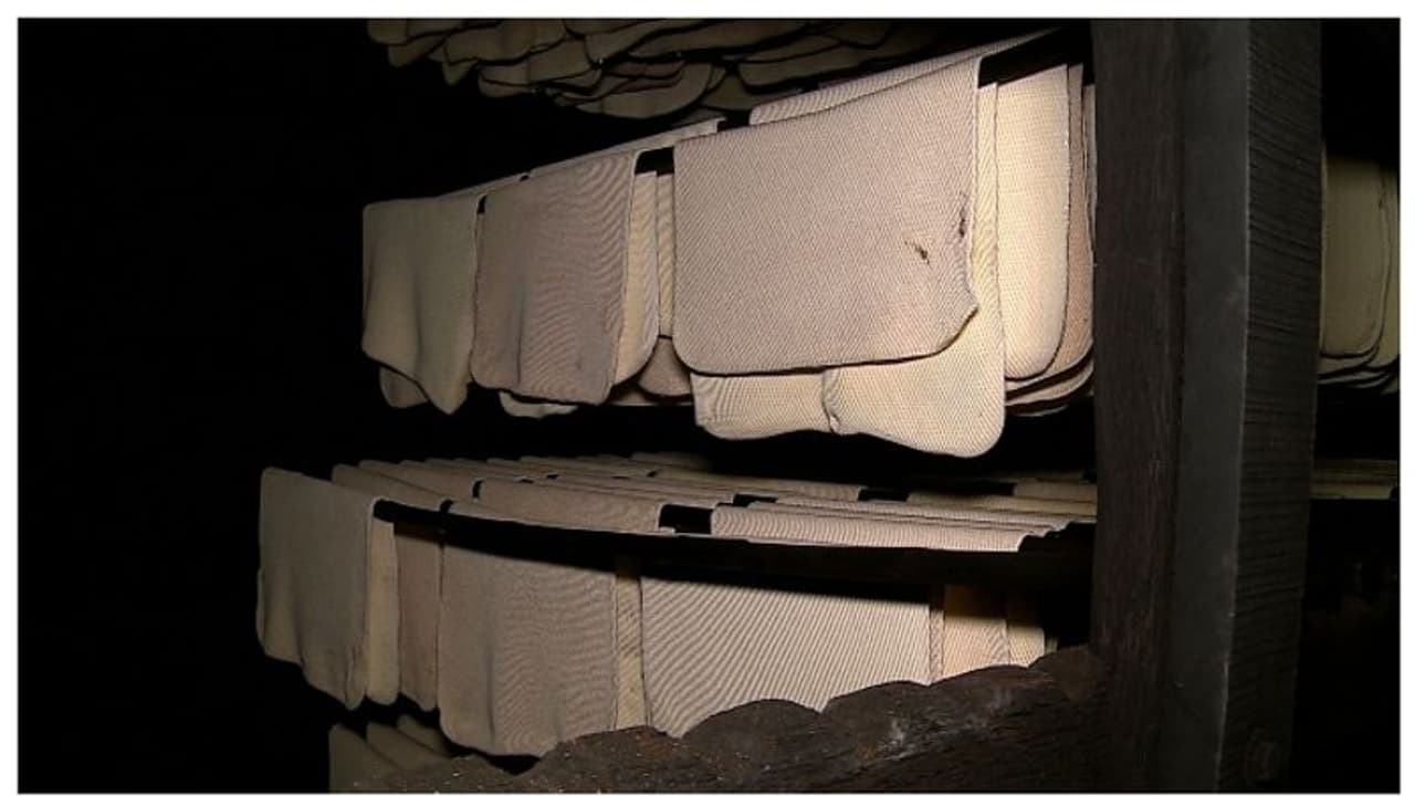 റബർ പ്രതിസന്ധിയിൽ സർക്കാർ ഇടപെടൽ, വില സ്ഥിരതാ പദ്ധതി പുനരാരംഭിച്ചു, കുടിശിക കൊടുത്തുതീര്‍ക്കും